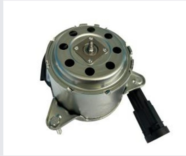 Fan Motor